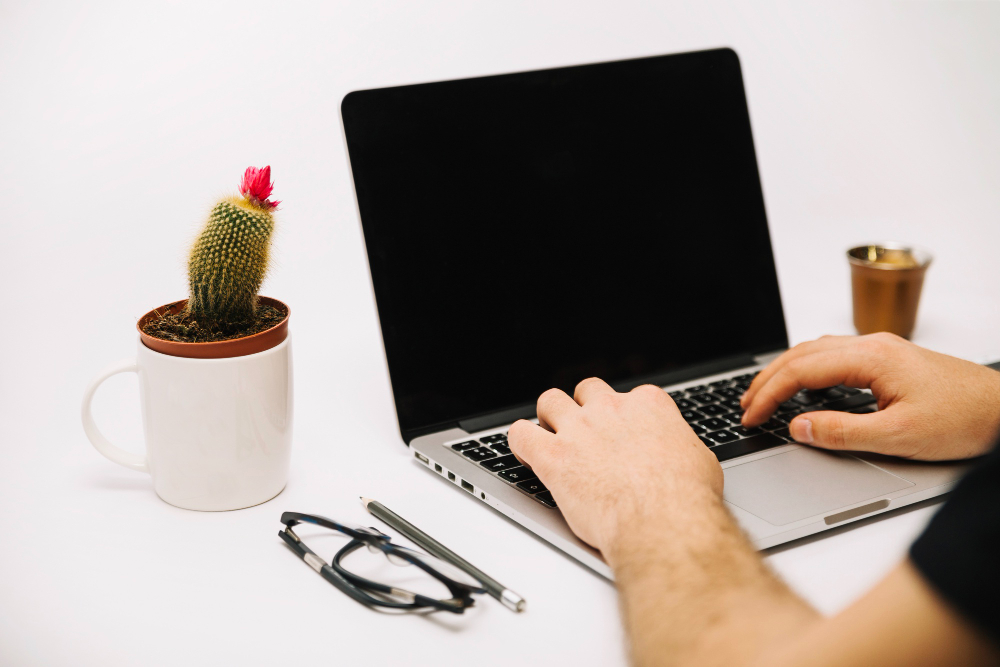 Web Development Laptos